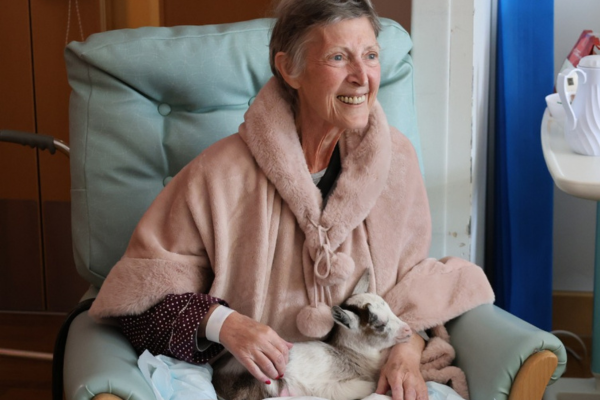 baby goat visits hospice