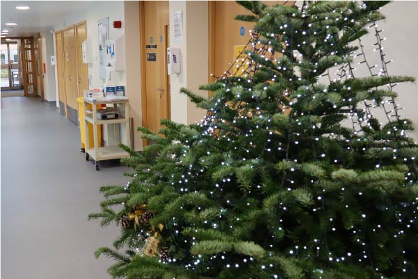 Christmas tree in hospice ward
