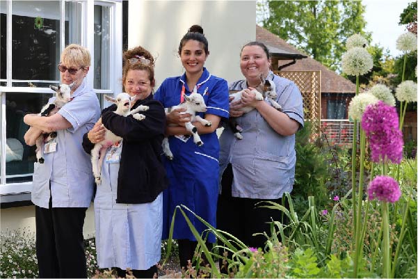 St Helena Hospice nurses with baby goats