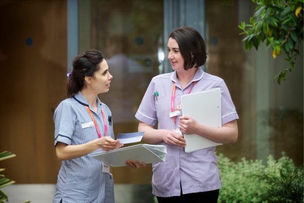 hospice nurses