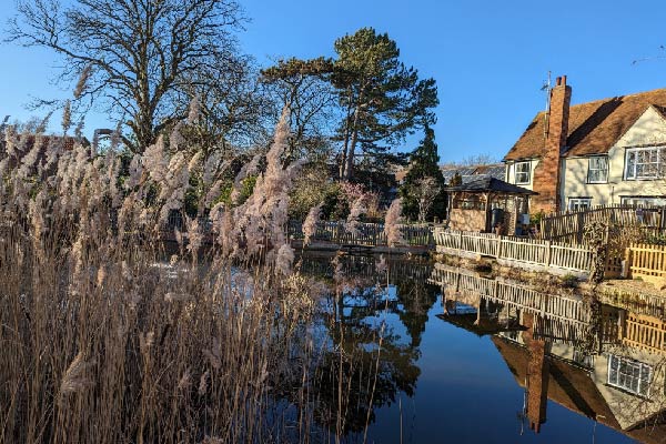 St Helena Hospice gardens