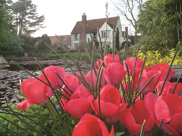 St Helena Hospice gardens